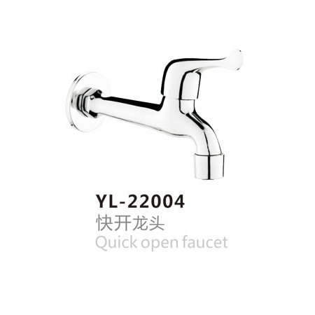 YL-22004